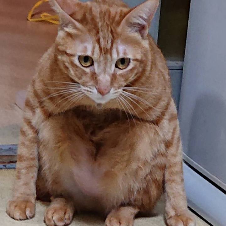 755fdf71 b528 4145 b383 0ad2834a7ecf 1577241672661