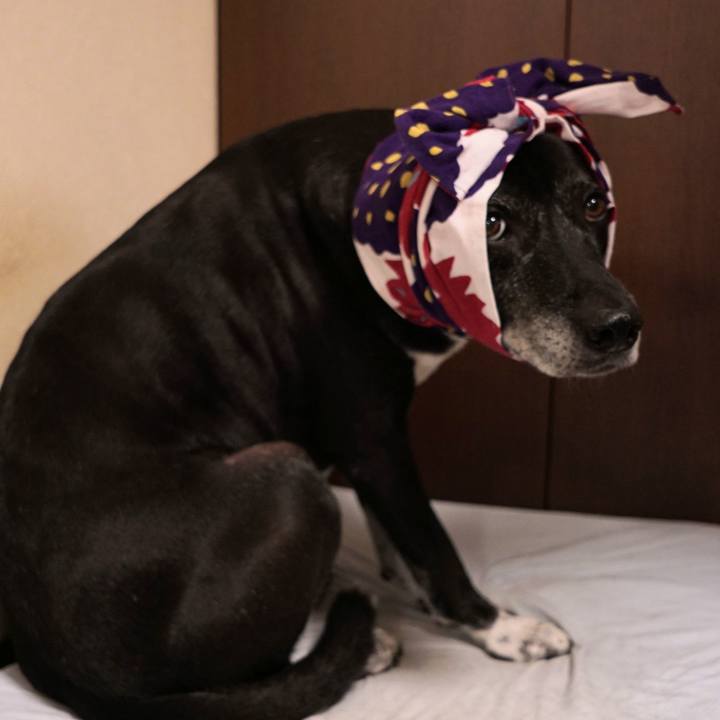 75600bd6 f0ea 48d4 967f 77e5860e6776 1757328553341