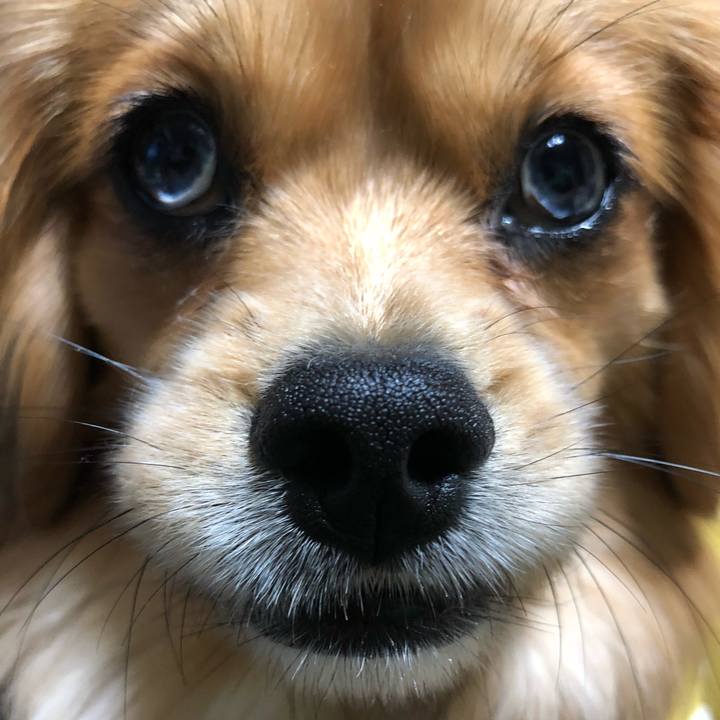 7560c759 3623 4102 8737 ddda09deff7b 1523655238315