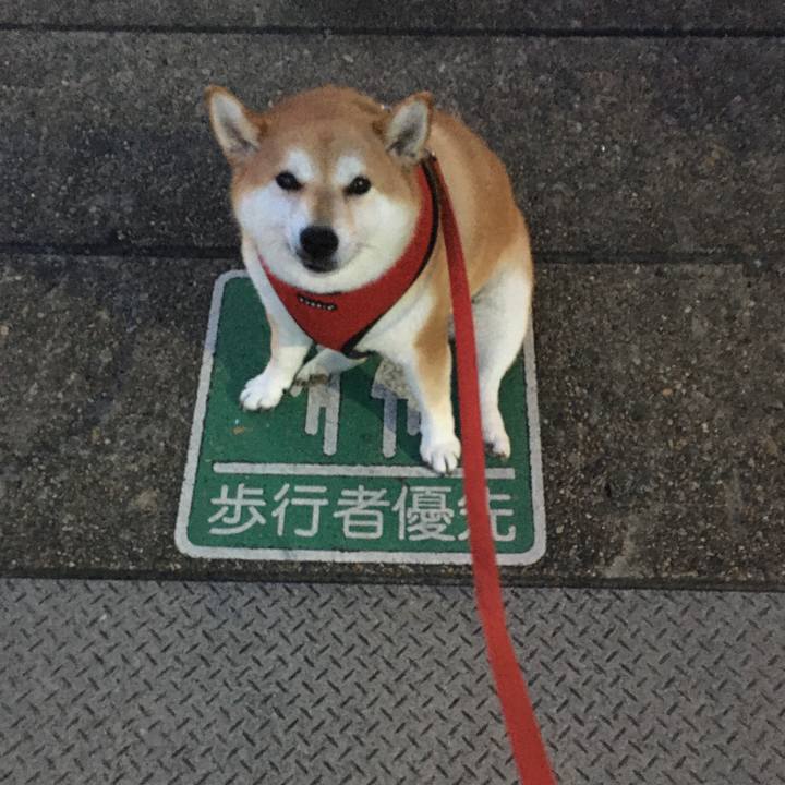 7560e688 6357 4a70 a458 bae228b0b350 1595155739802