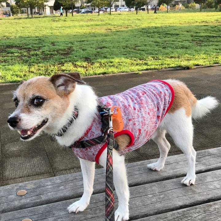 756138a3 1434 42de a48e d83d41581ccd 1599516013827