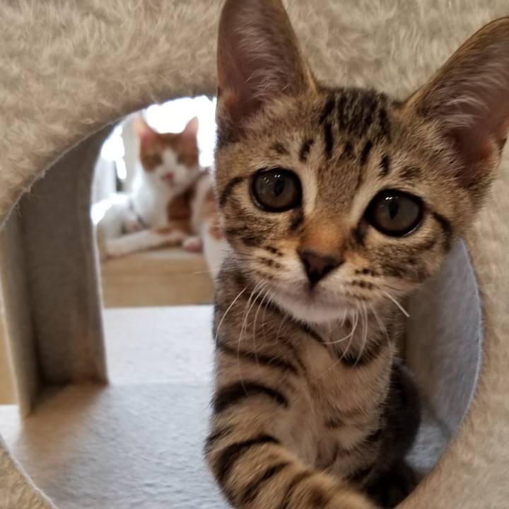 756190aa 7169 4b35 b7f1 9109cd0ff12f 1537757357910