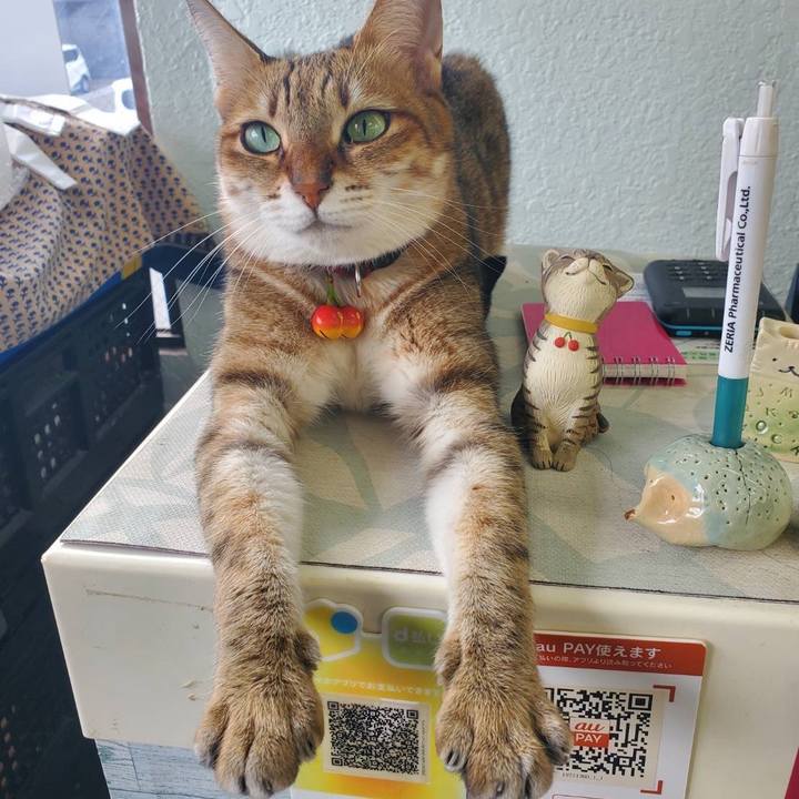 7561c611 cf2a 4411 aaf4 7abfd7f0bdc8 1730963185386