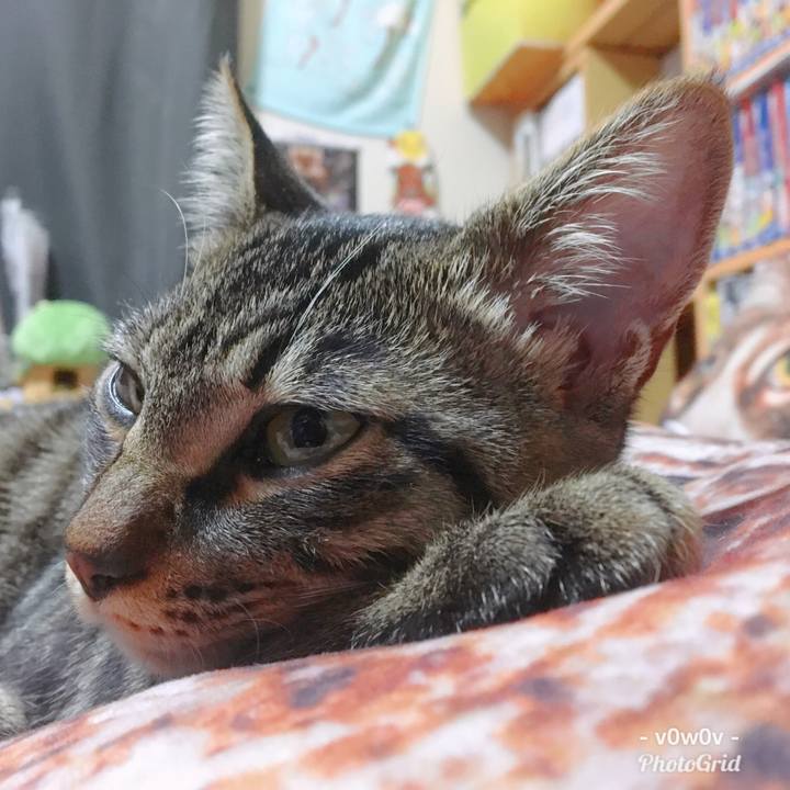 7561ddea 6bc0 41d2 97fb ea29787f0528 1544622095900