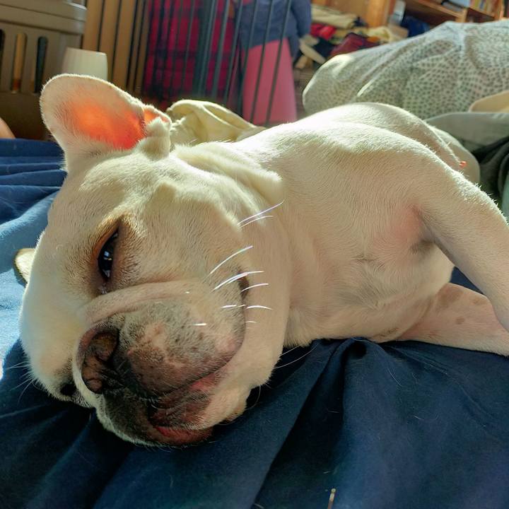 7562212d 8c59 45c5 8478 a6de11517f29 1668425366669