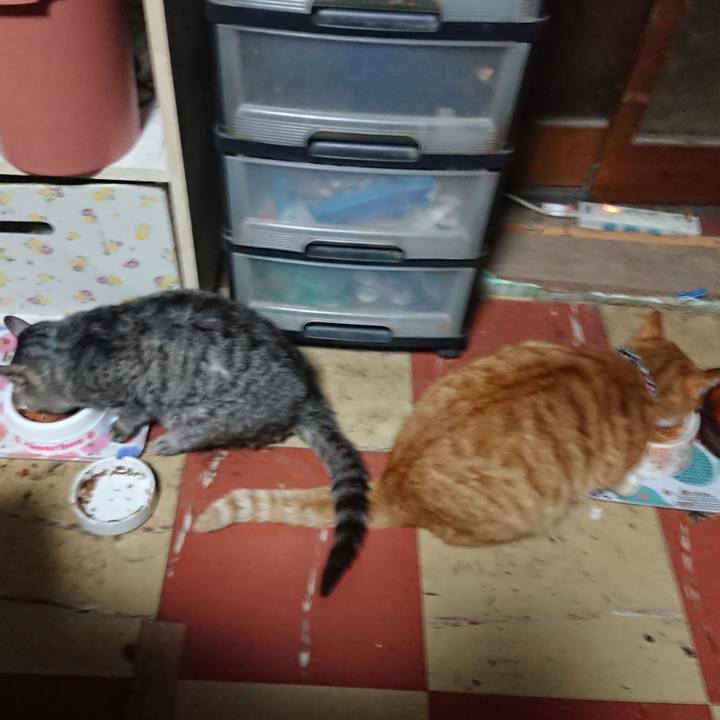 75626251 c024 4f54 a121 f41fe356ab86 1574625797496