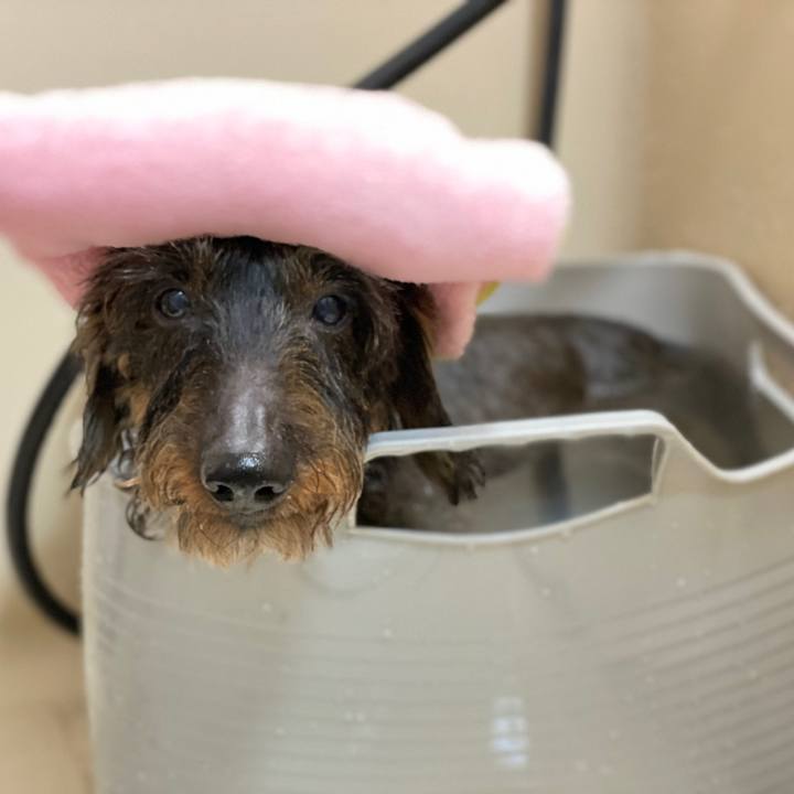 75627cd7 8f93 4b3f ba3d cd63ffbc3164 1576316473744