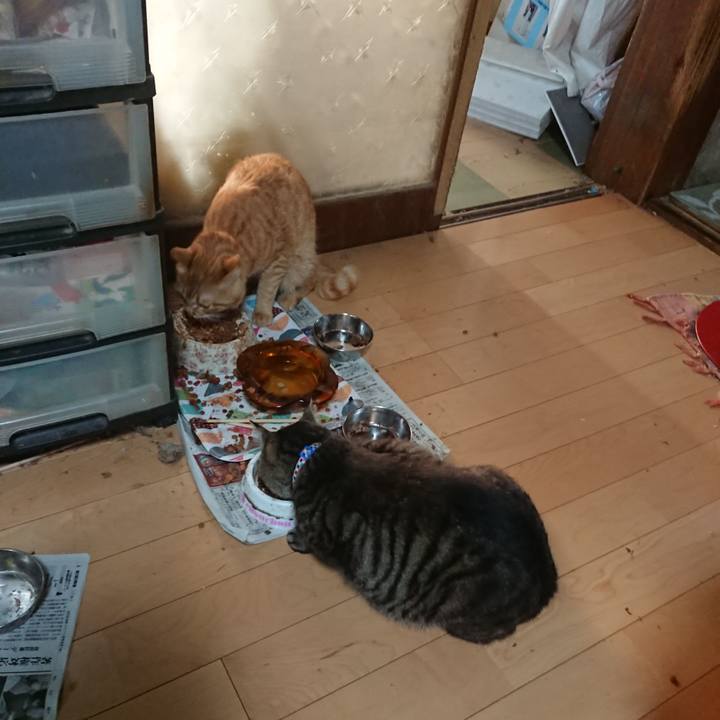 75628a45 cfa3 4033 9b38 08f135c97d8c 1656192827349