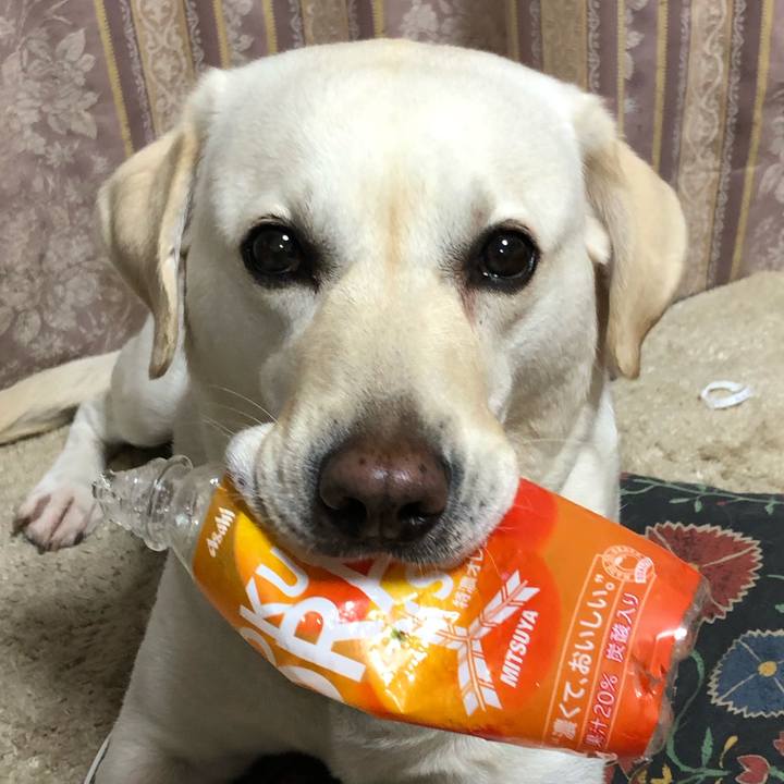 75629d55 c971 4ca7 9f2a c3923b0096ce 1589470231987