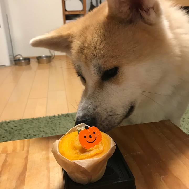 7562a88a f982 41a8 811b bb4426891d19 1509545406998