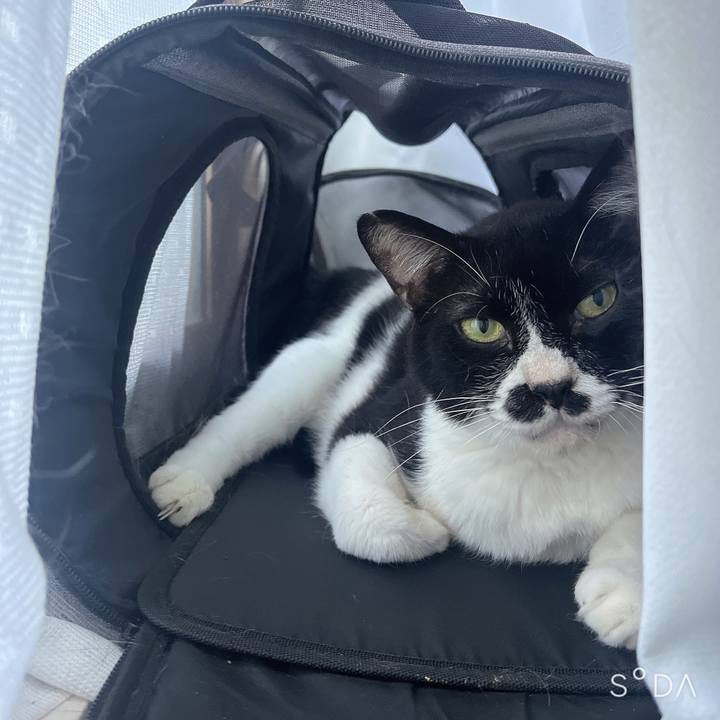 7562f1e2 56b2 45ff 8d47 1ee75f51810c 1688982576860