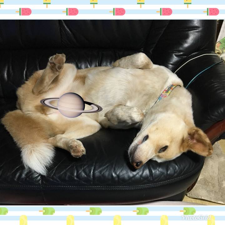 7563467e f560 4ed9 9b4f 835268051dfe 1526312472350