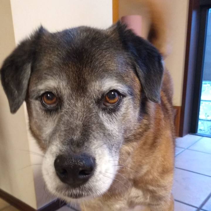 7563b902 982d 4ab0 b4ee 32f9686477ef 1557138245040