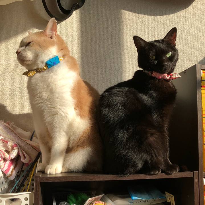 7563d469 36d0 499b ace4 5f6d185c407d 1572650649944