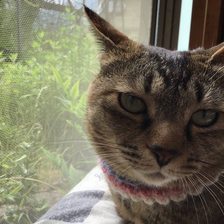 7563ea08 40a4 470b af9a bc14d7ad48df 1621234243927