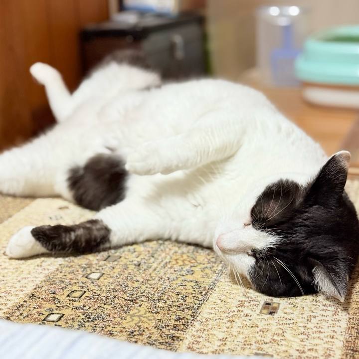 7564034f 83b9 460e 8789 b413a8ba15e2 1756345794761