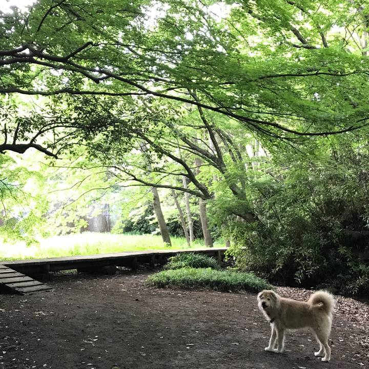 75641428 04d2 494c 842c d3c5faa1cfbf 1557156950693