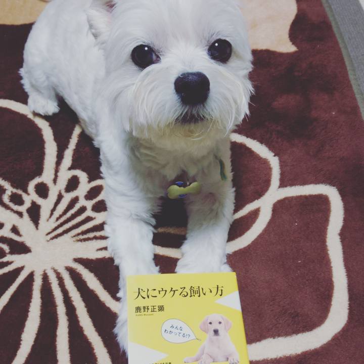 75643f84 991f 42bf 80b8 10717ffb3688 1634302581495