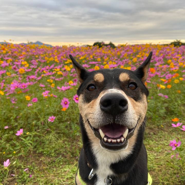 75644e46 c7e6 4381 bf47 0db3c4f37a6e 1634557398522