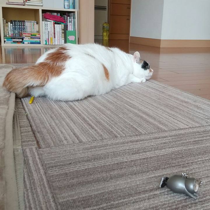 7564a691 d91f 409f b3f1 f17b023851bf 1649402091569