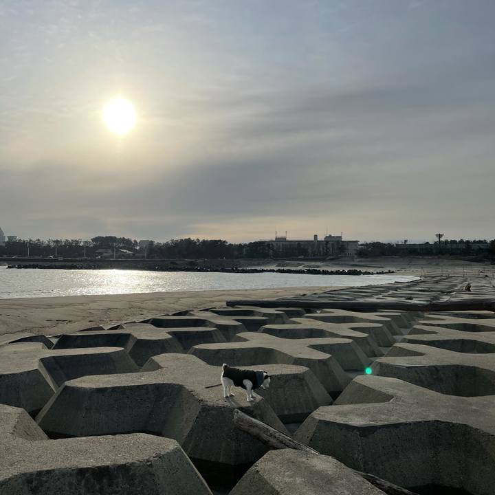 7564c160 3b65 4515 8aca 11b36dcbf393 1616107515762