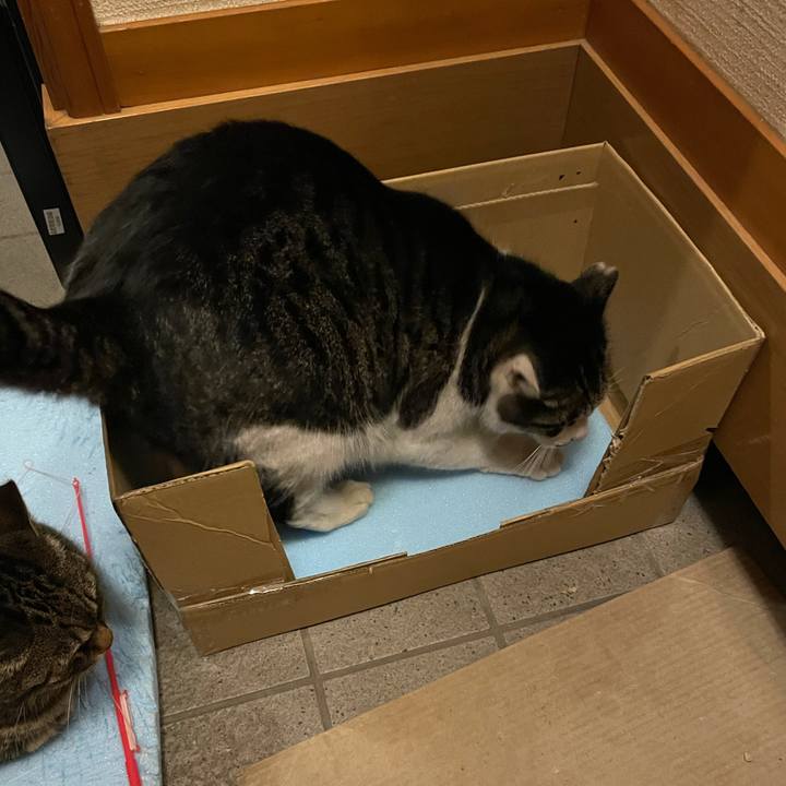 7564c3cb 0b71 4155 80cc 9da58edd8c5c 1612526649051