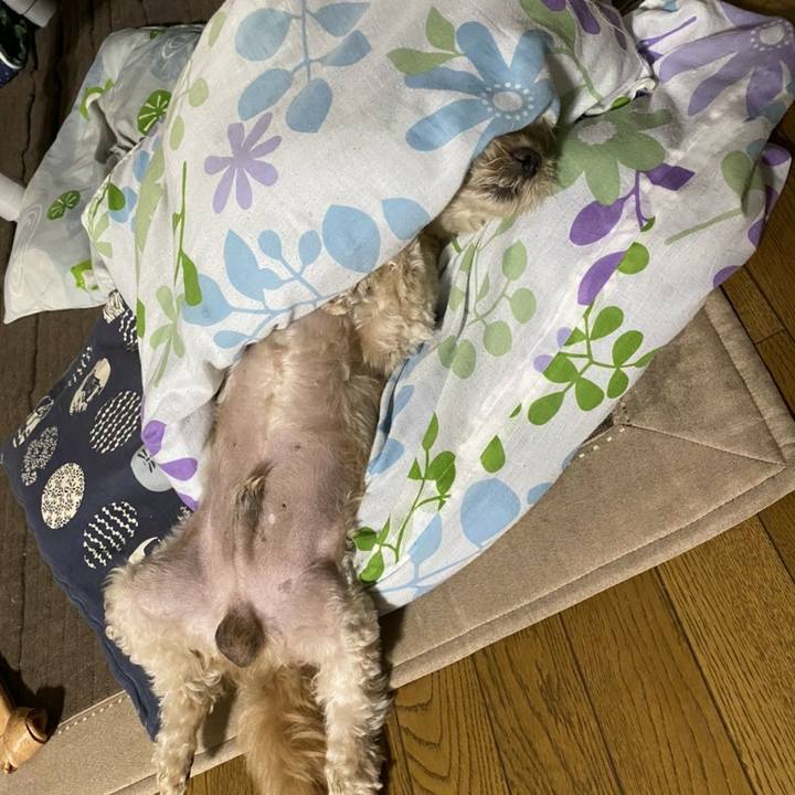 7564c799 448f 4b23 b4ed 009183a91b59 1599056840277