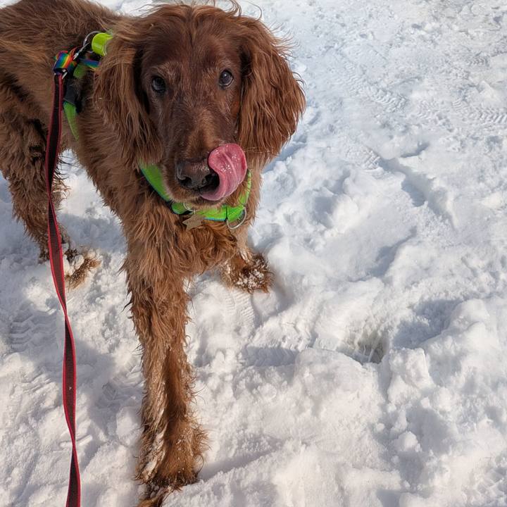 7564e440 2779 49a4 8840 20796adc6594 1768731286987