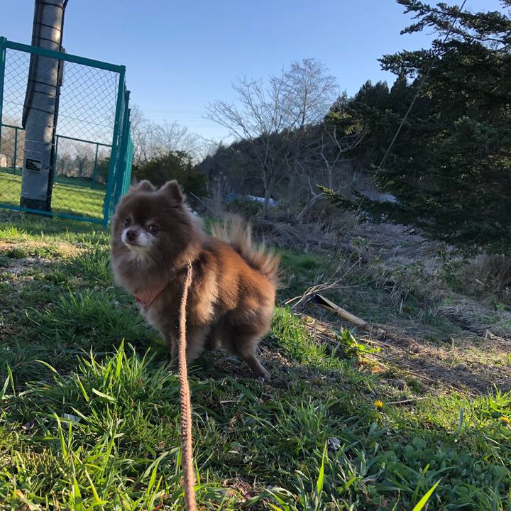 75651977 969f 4a67 b3f6 4cae30f24bc5 1618962602793