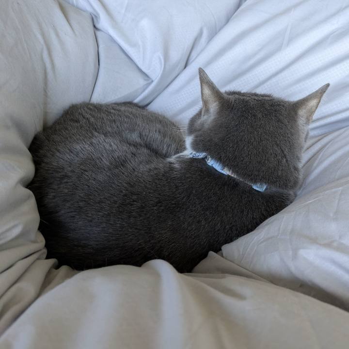 756519a0 3006 4675 ad23 aca6691d6460 1770686935009