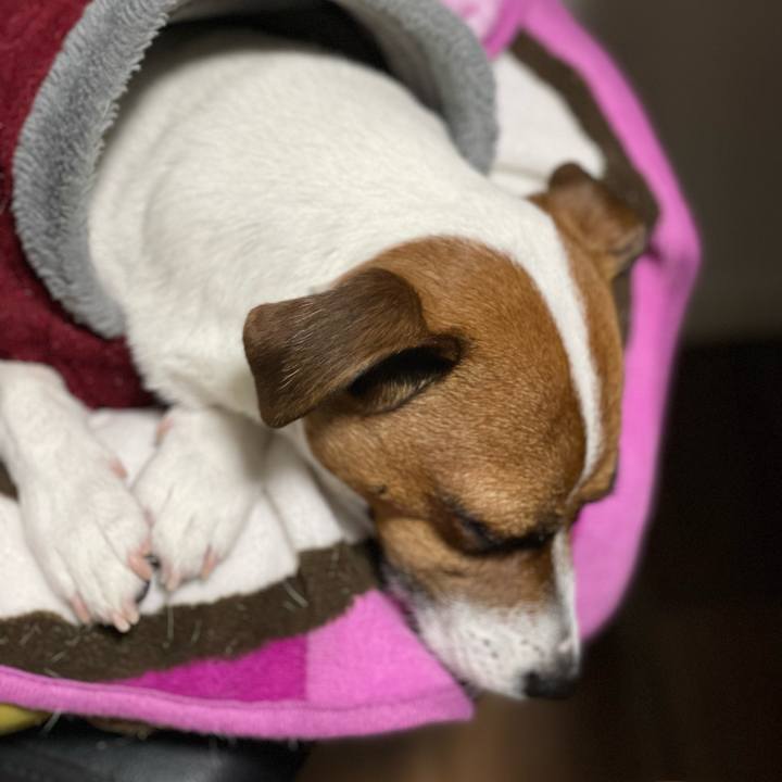 7565378b 9fe2 4b75 8412 785e4d916930 1643186057513