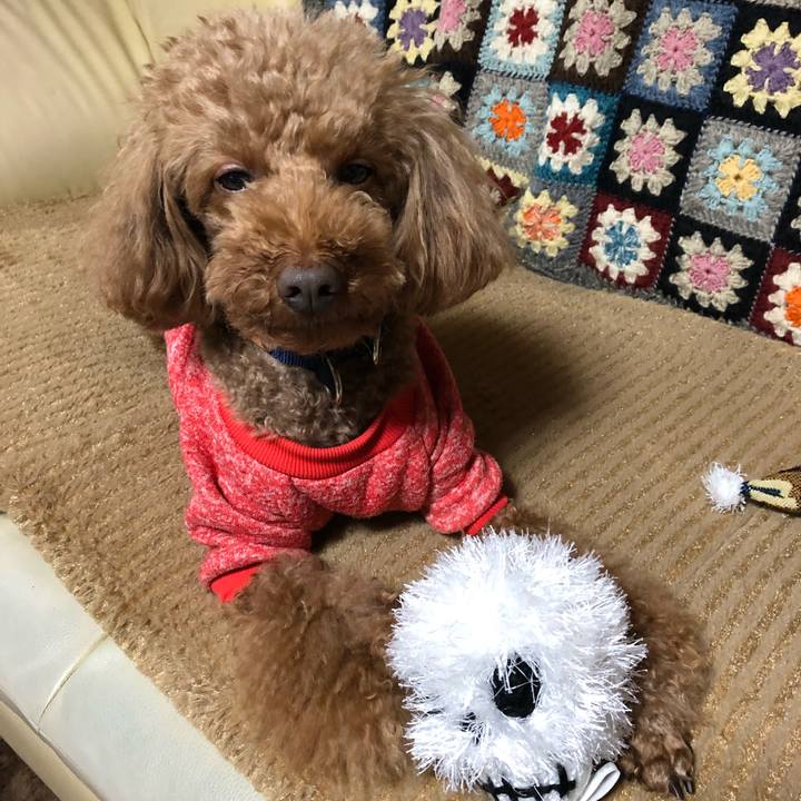 75655ce1 9717 4b4e bc3a 1ecade2f0347 1552638842236