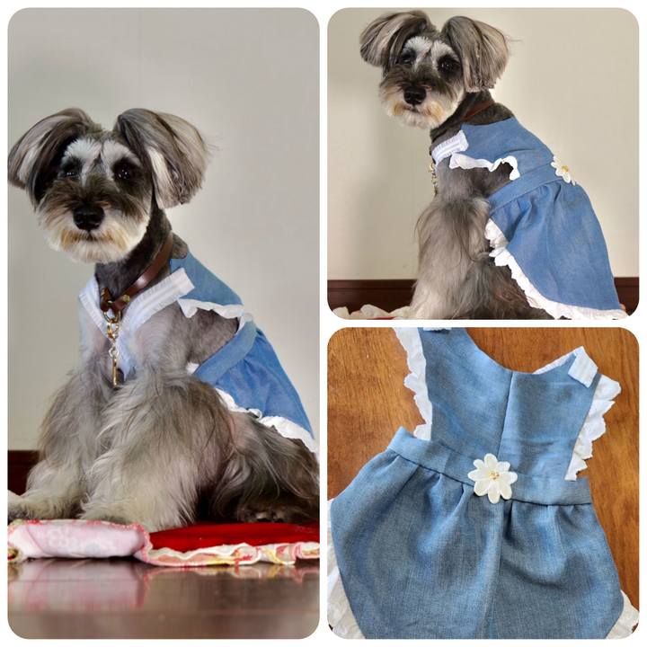 75657cf0 900f 434e 9693 ef5cda15bc81 1719449856313