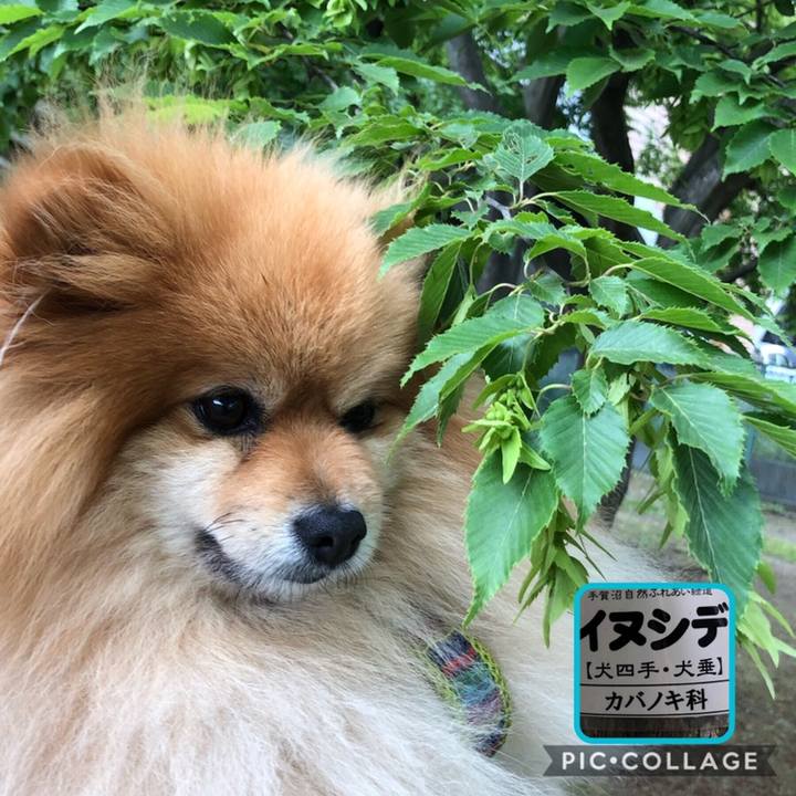 7565a1ba a737 4ba8 869f 85b320835673 1558266225476