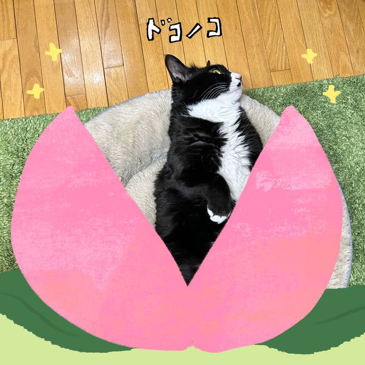 7565af91 f683 4d64 9b96 57cd616e8b84 1771937422779