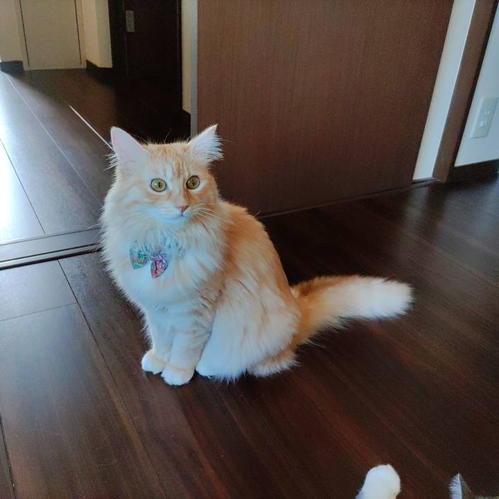 7565d1fe 98fa 4b0d 9724 432e7276004f 1660197910419