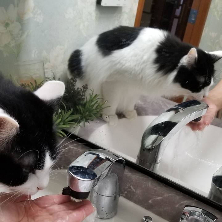 7565da1f 51a2 46c9 80f1 b995d3ac6955 1568240692138