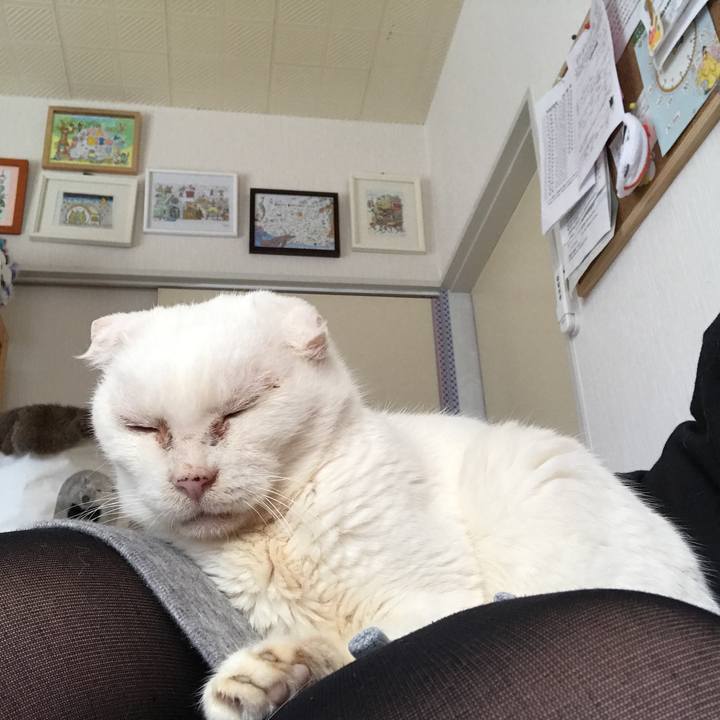 7565e6fa f3c5 492f 90fe 199448bf7aa6 1520822515628