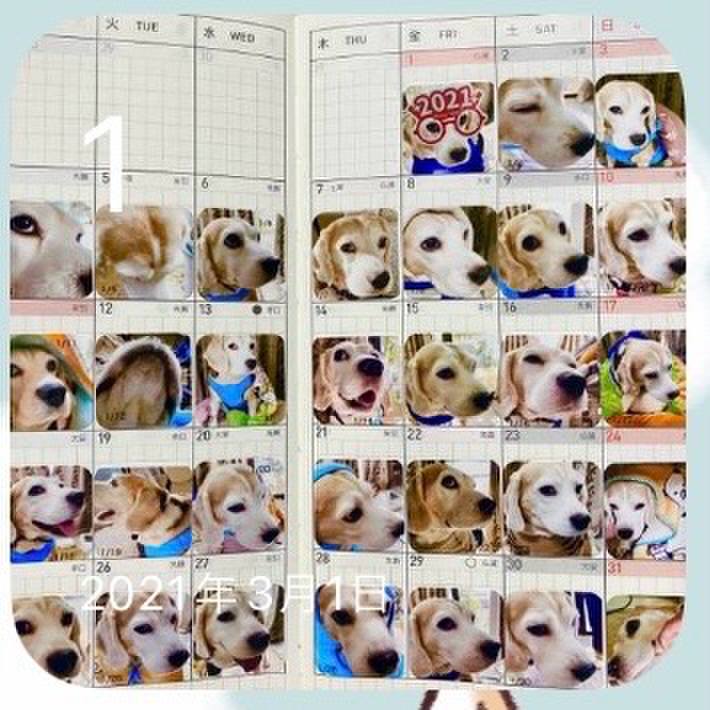 756608ca 9300 40b3 a470 7dc194214d15 1709248040693