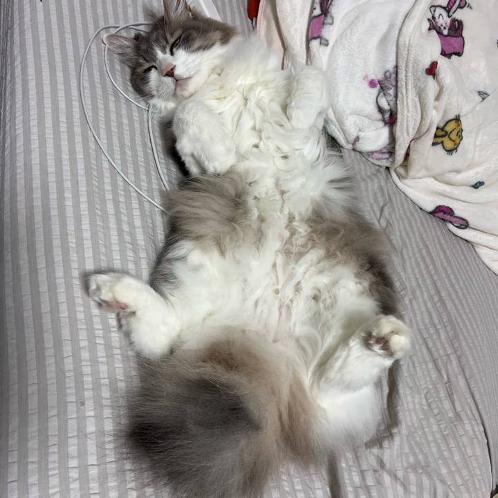 75664df8 15ab 404d b0b2 28402383a9ae 1764939123769