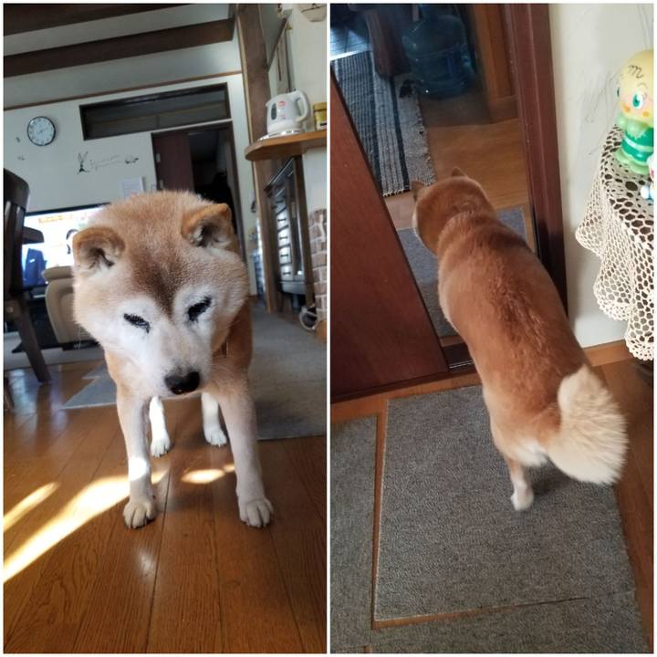 75667aca 3ac2 4ff3 8124 2c14ad69343d 1741907648483