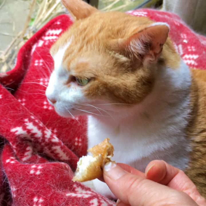 7566894d 0b7b 4382 a19a feccc0764945 1597728920498