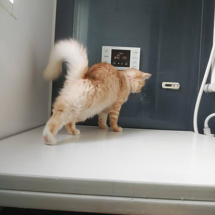 75669e1d 665a 4cfa aedc 437a99bdb797 1642908523757