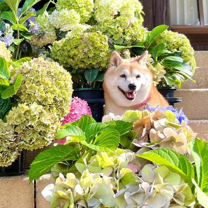 7566b0cc 4117 4230 a158 cbf02bd4b084 1687700482602