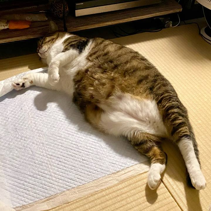 7566ccf0 6fa2 447c ab75 d2070f691f3e 1756655067357