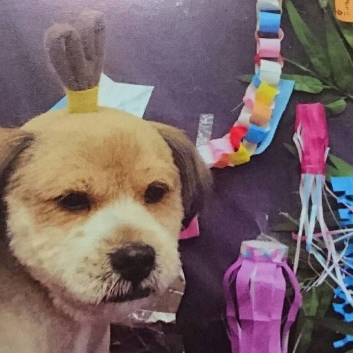 75678cd9 5d18 4437 8465 10215b46fdb5 1528973645602