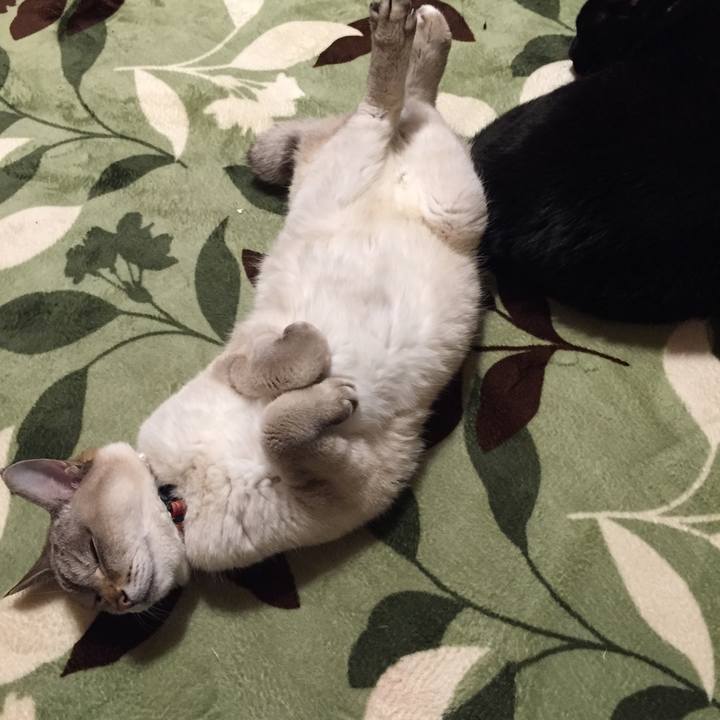 75679c90 5539 429c 8b0d 79f91bf2614b 1586034367024