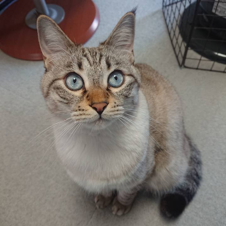 7567c284 dcca 4aac 9f35 dc7e5a5441ce 1546130276426