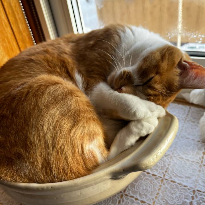 75683937 1957 4705 9974 0a4a5c8b56e7 1735879717641