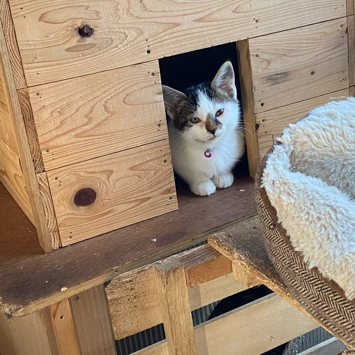 75688233 6a22 470e 877e 964c64b4a5ca 1601946289100